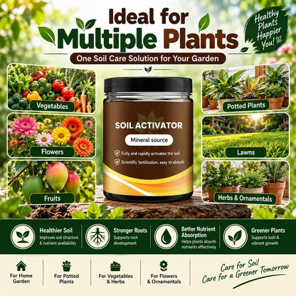 RootRise Soil Activator for Plants (Pack Of 2)